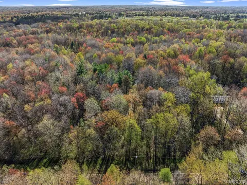 6799 Maplegrove Road, Vassar MI 48768 9107 photo 3