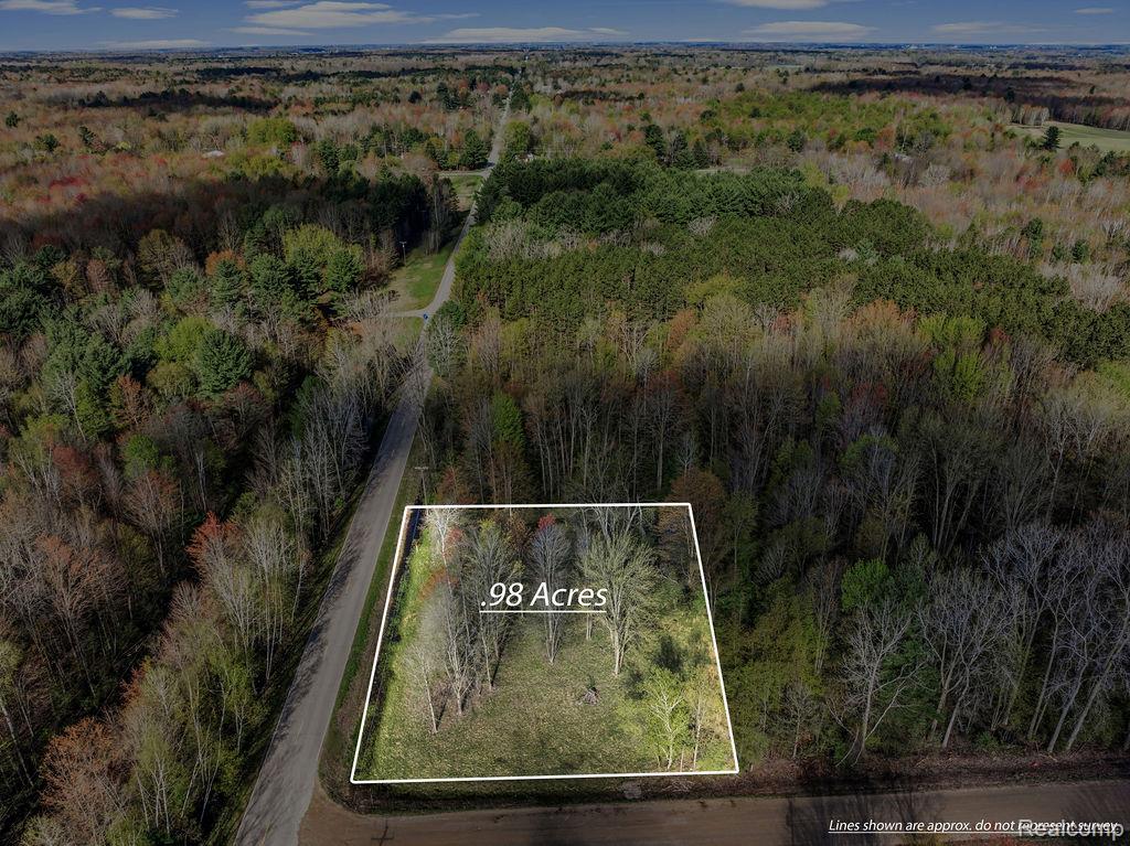 #0014 V/L Brown Road, Vassar MI 48768 photo 1