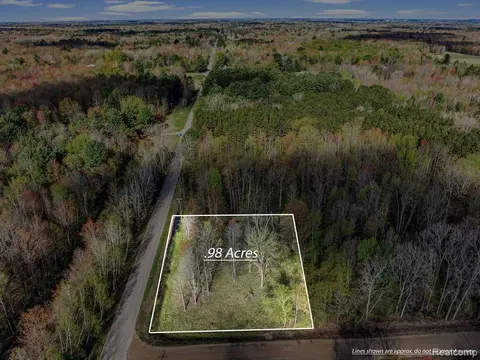 #0014 V/L Brown Road, Vassar MI 48768 photo 1