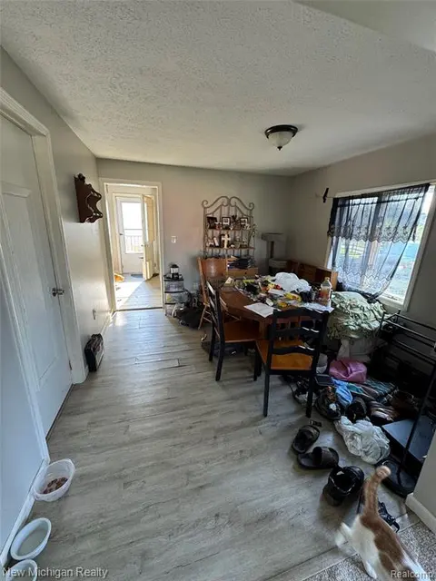 305 E Rolfe, Perry MI 48872 9105 photo 3