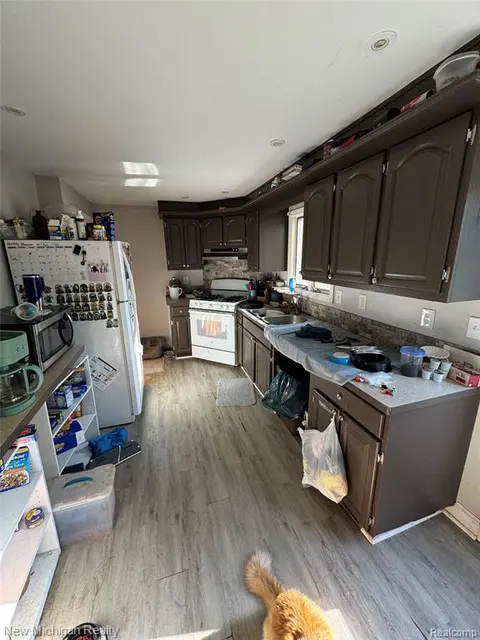 305 E Rolfe, Perry MI 48872 9105 photo 4