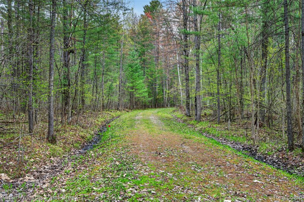 v/l E Pinecrest Drive, Gladwin MI 48624 photo 1