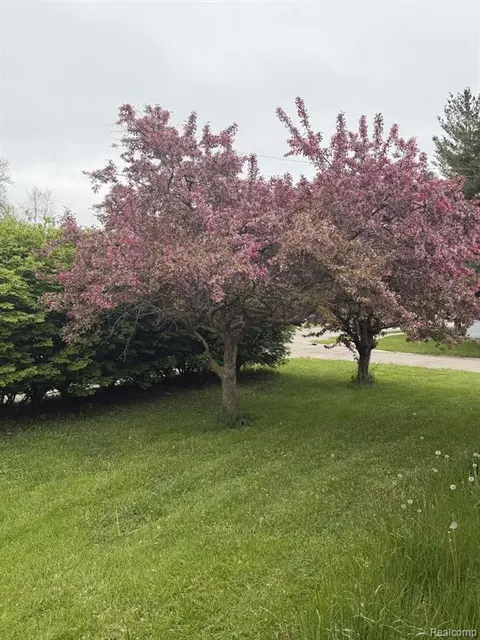 6344 Kilgour Street, Marlette MI 48453 1342 photo 2