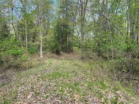 NA Oakridge Drive, Au Gres MI 48703 photo 1