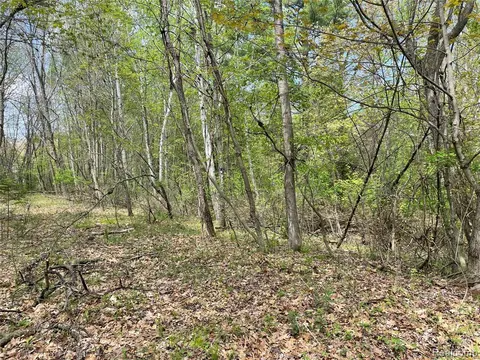 NA Oakridge Drive, Au Gres MI 48703 photo 2