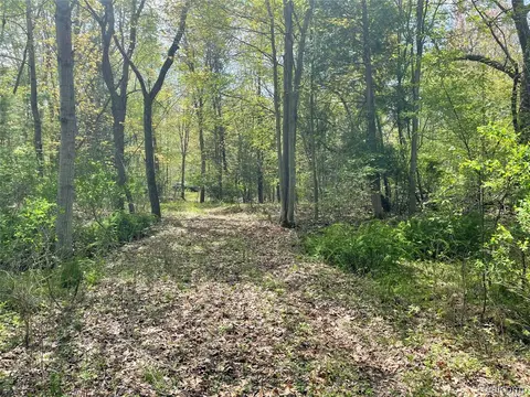 NA Oakridge Drive, Au Gres MI 48703 photo 3