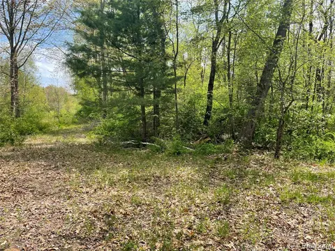NA Oakridge Drive, Au Gres MI 48703 photo 4