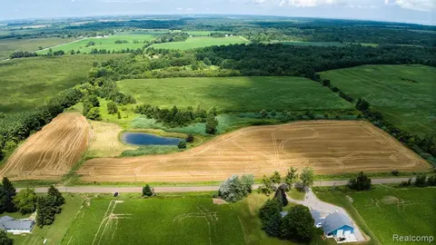 VL Custer Road, Carsonville MI 48419 9786 photo 2