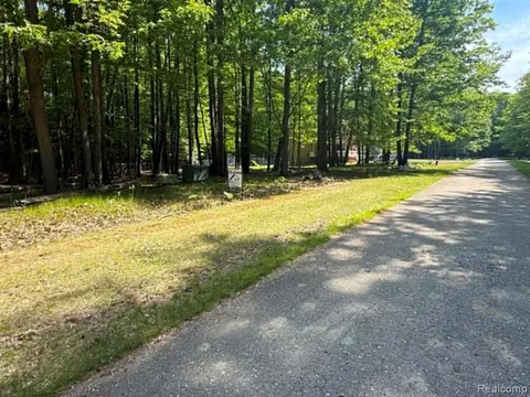 Lot 14 Towering Oaks Drive, Port Austin MI 48467 photo 5