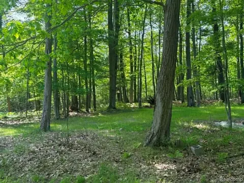 Lot 4 Towering Oaks Drive, Port Austin MI 48467 photo 3