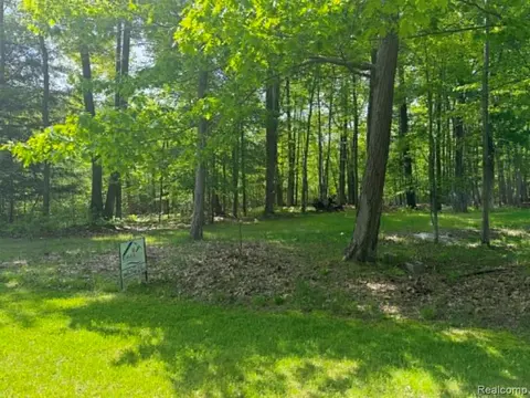 Lot 4 Towering Oaks Drive, Port Austin MI 48467 photo 4