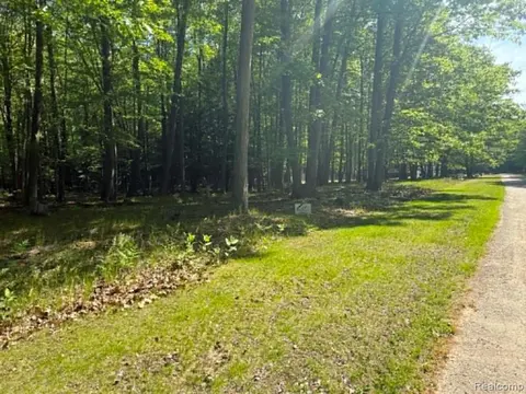 Lot 15 Towering Oaks Drive, Port Austin MI 48467 photo 3