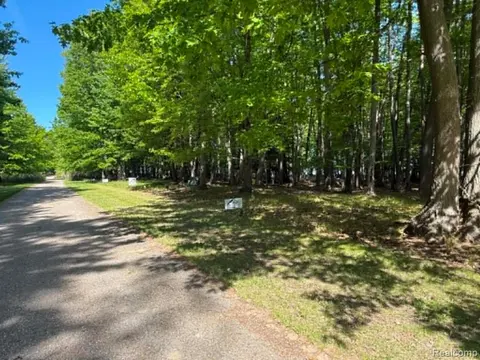 Lot 17 Towering Towering Oaks Drive, Port Austin MI 48467 photo 3