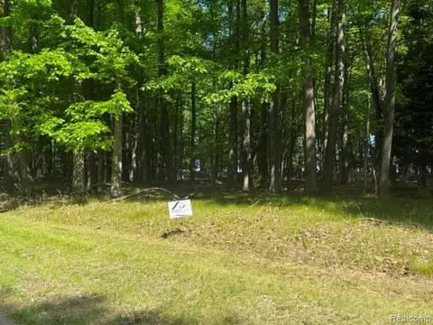 Lot 16 Towering Oaks Drive, Port Austin MI 48467 photo 3