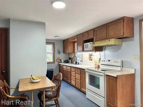 6520 Carpenter Street, Marlette MI 48453 1055 photo 4
