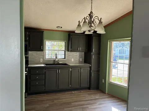 411 Pond View, Morrice MI 48857 photo 4