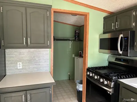 411 Pond View, Morrice MI 48857 photo 5