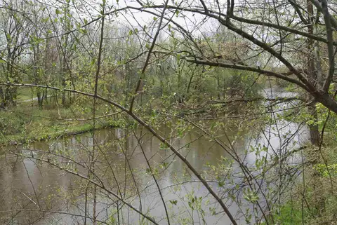 Lot 5 Whitetail Trail, Mount Pleasant MI 48858 photo 4