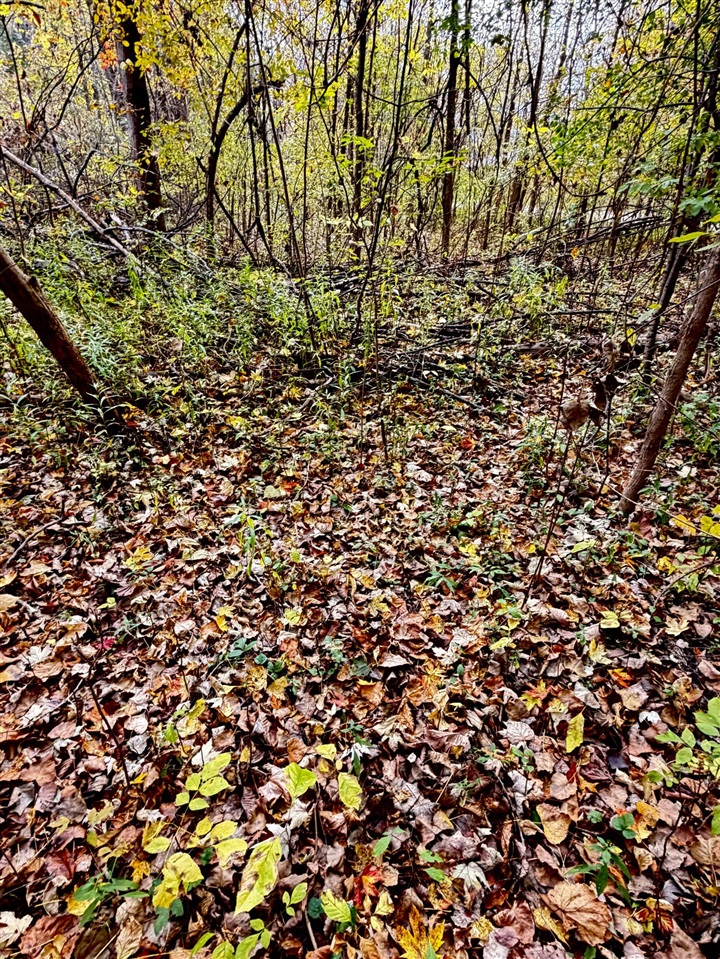 lot 302 Hilcrest/Helen Dr., Update MI 48744 photo 1