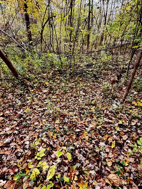 lot 302 Hilcrest/Helen Dr., Update MI 48744 photo 1