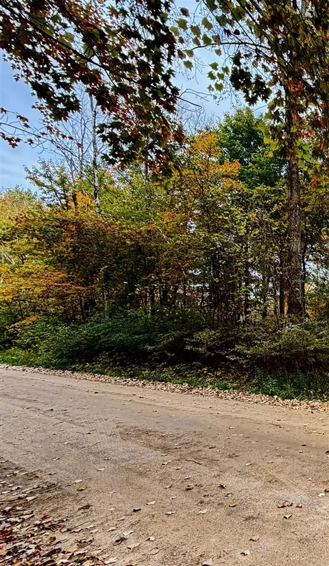 lot 302 Hilcrest/Helen Dr., Update MI 48744 photo 2