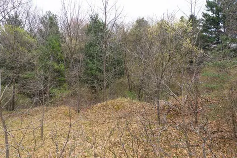 0 Bond Street, Harrison MI 48625 photo 4