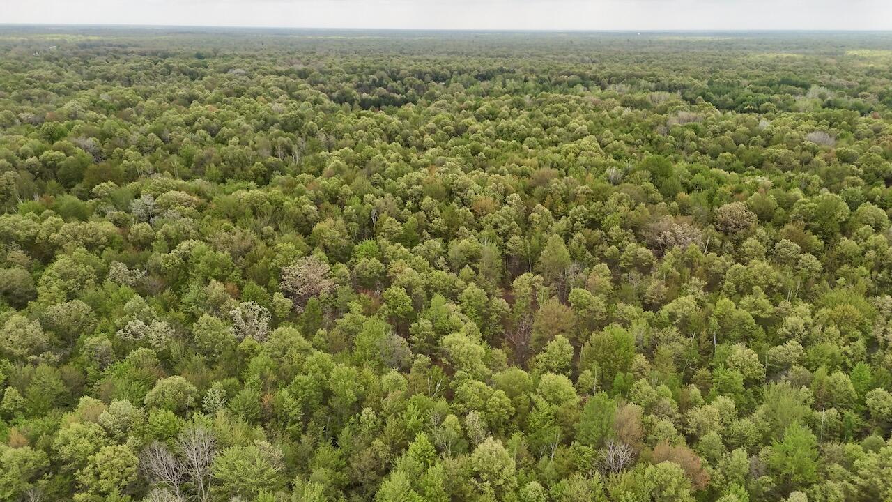 N Magruder Road, Coleman MI 48618 photo 1