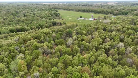 N Magruder Road, Coleman MI 48618 photo 2