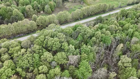 N Magruder Road, Coleman MI 48618 photo 3