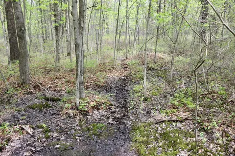 N Magruder Road, Coleman MI 48618 photo 5