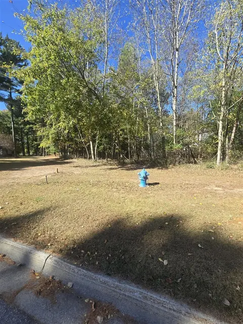 00 V/L Essex Drive, Update MI 48880 photo 4
