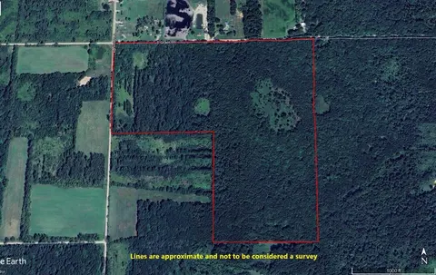 0VL S Mason Road, Ashley MI 48806 photo 2