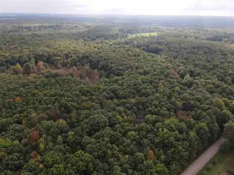 0VL S Mason Road, Ashley MI 48806 photo 3