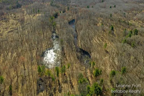 VL W Weidman Road, Weidman MI 48893-48893 photo 1