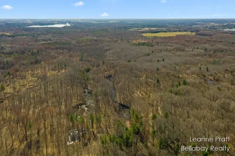 VL W Weidman Road, Weidman MI 48893-48893 photo 2