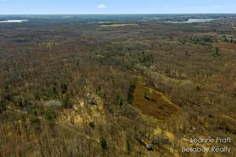 VL W Weidman Road, Weidman MI 48893-48893 photo 3