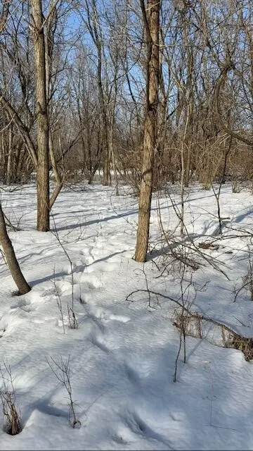 Warner Road, Laingsburg MI 48848 photo 2