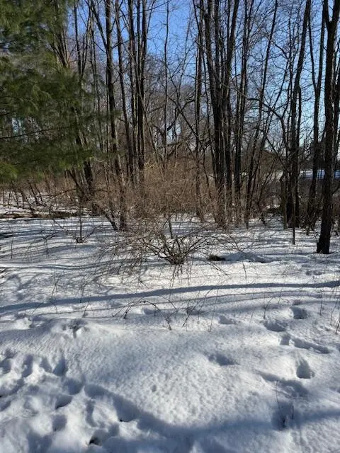 Warner Road, Laingsburg MI 48848 photo 3