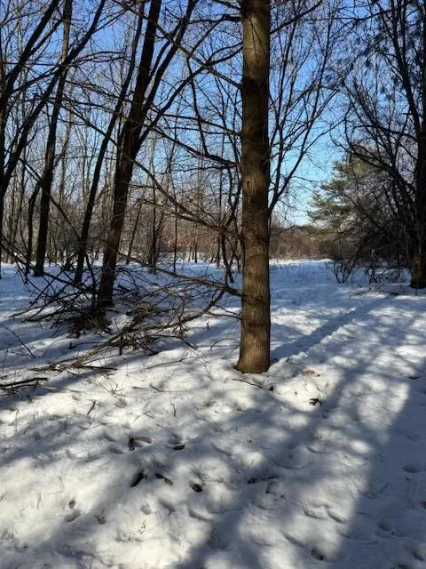 Warner Road, Laingsburg MI 48848 photo 5