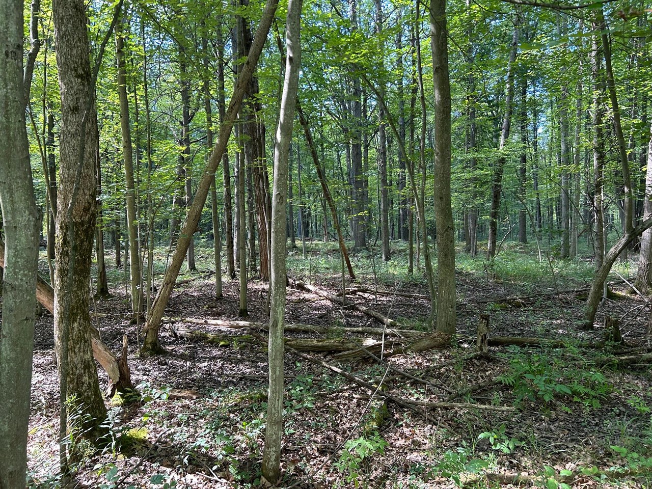 3100 W Isabella Road, Shepherd MI 48883 photo 1