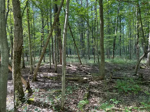 3100 W Isabella Road, Shepherd MI 48883 photo 1