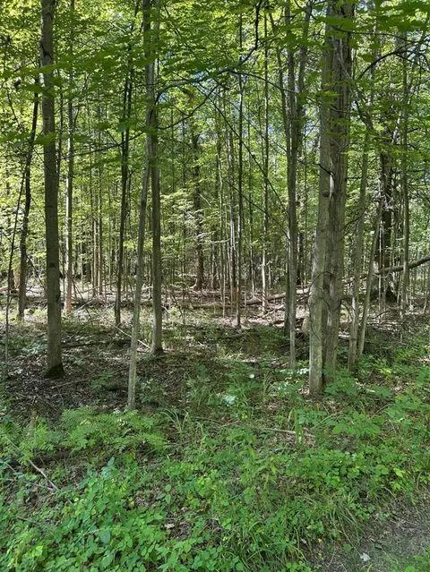 3100 W Isabella Road, Shepherd MI 48883 photo 3