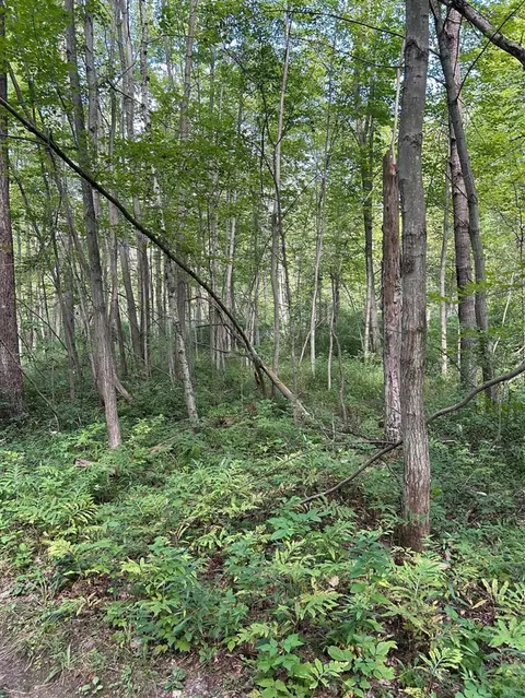 3100 W Isabella Road, Shepherd MI 48883 photo 4