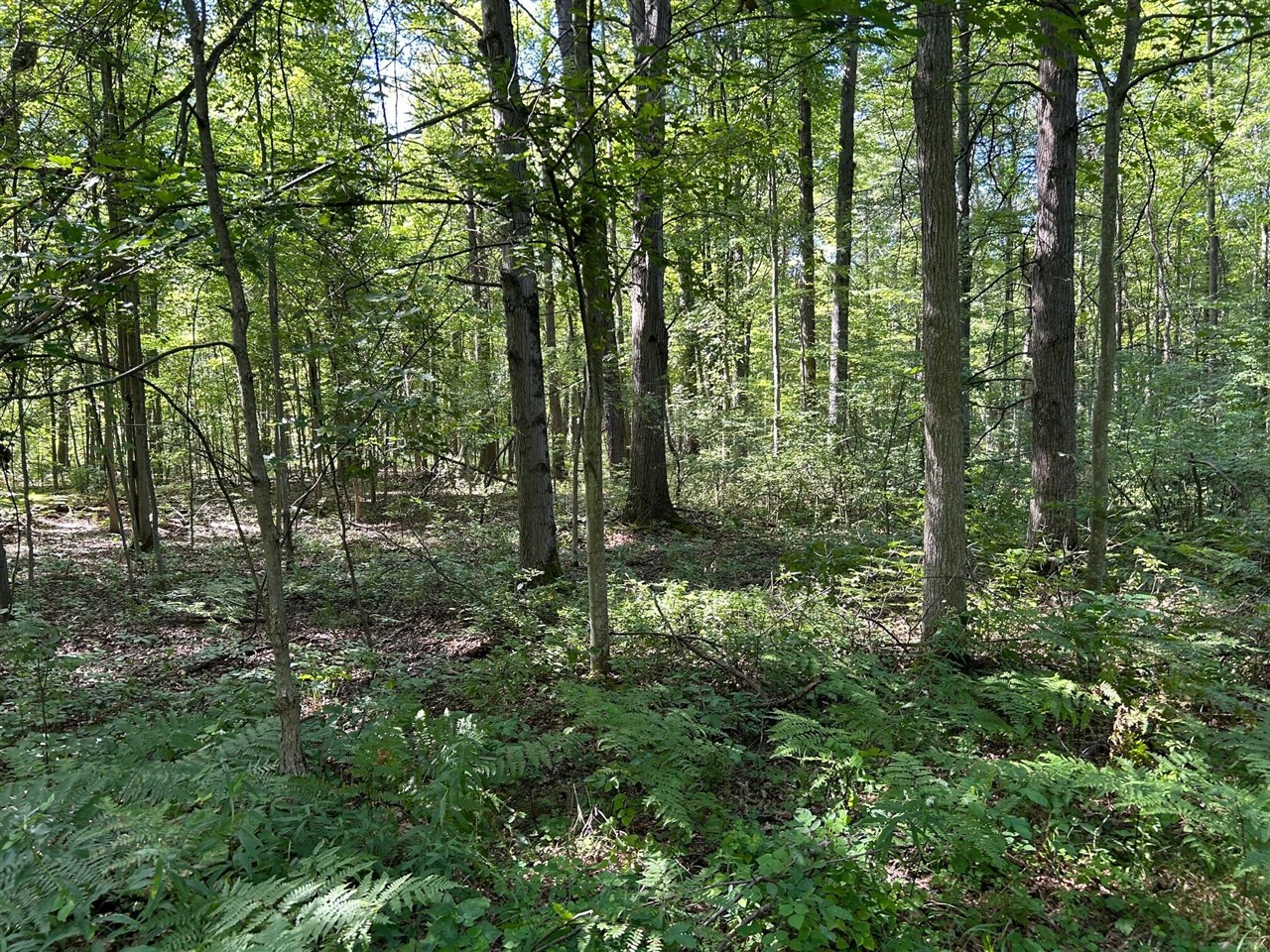 3250 W Isabella Road, Shepherd MI 48883 photo 1