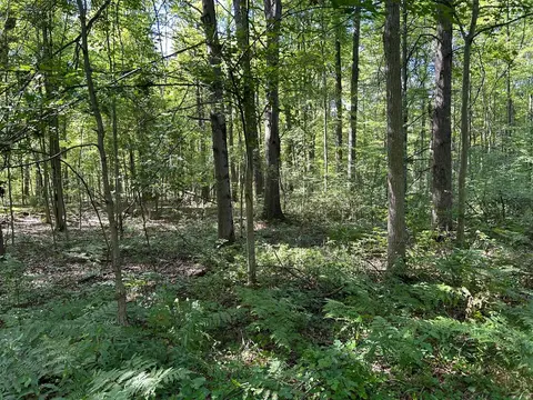 3250 W Isabella Road, Shepherd MI 48883 photo 1