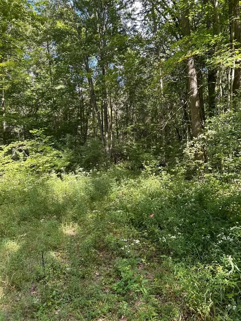 3250 W Isabella Road, Shepherd MI 48883 photo 2