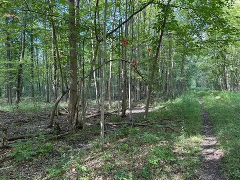 3250 W Isabella Road, Shepherd MI 48883 photo 5