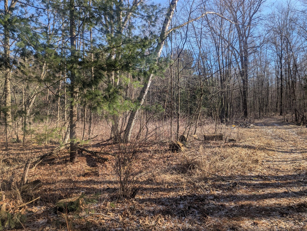 00 East Road, Update MI 48457 photo 1
