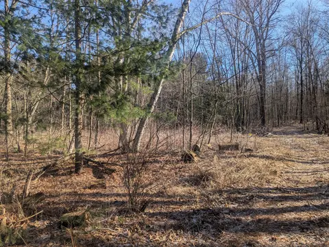 00 East Road, Update MI 48457 photo 1