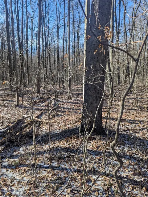 00 East Road, Update MI 48457 photo 3